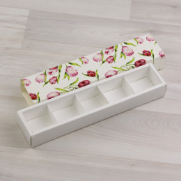 Коробка Этне 5 шубер коллекция 