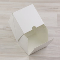 Коробка Тесла 2 (100х100х100мм) белый